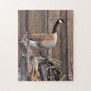 CANADA GOOSE AAN DE BARN BOARD LEGPUZZEL