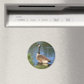 Canada Goose Animal Art Magnet Magneet (Insitu (Vaatwasser))