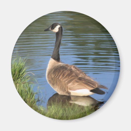 Canada Goose Animal Art Magnet Magneet (Voorkant)