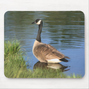 Canada Goose Animal Art Muismat