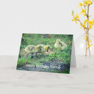 Canada Goose Babies Natuur Birthday Kaart