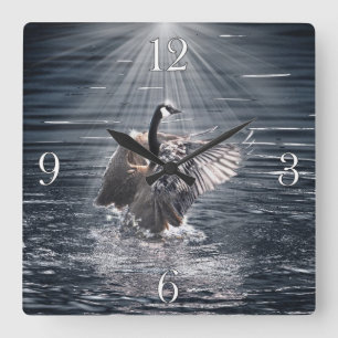 Canada Goose Bathing in Lake Art Design Vierkante Klok