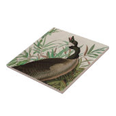 Canada Goose Birds of America Audubon Print Tegeltje (Zijkant)