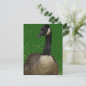 Canada Goose Briefkaart (Staand voorkant)