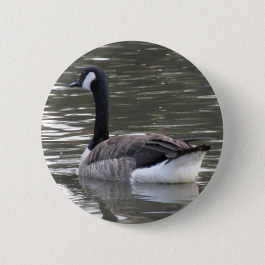 Canada Goose Button (Voorkant)