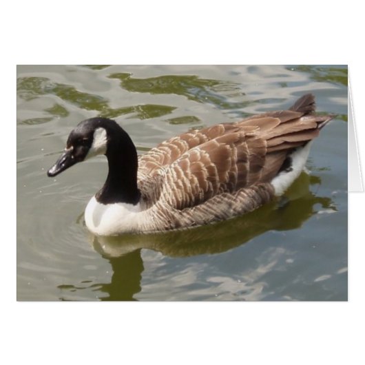 Canada Goose Card (Voorkant Horizontaal)