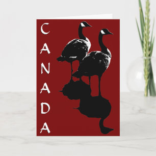 Canada Goose Cards Canada Geese Wenskaarten Kaart
