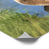 Canada Goose Confucius Knowledge Quote Poster (Hoek)