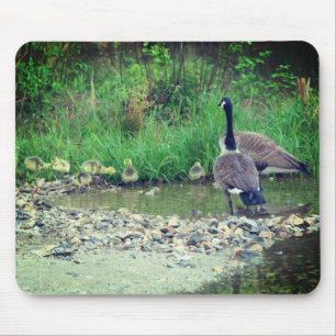 Canada Goose Family Babies Natuur Muismat