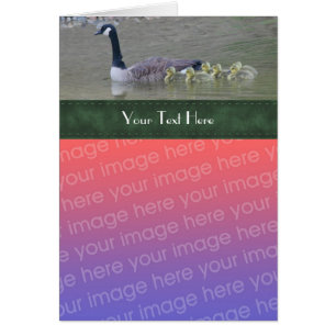 Canada Goose Family Nature Carte photo