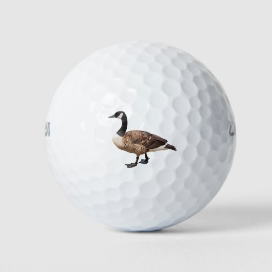 Canada Goose Golfballen (Voorkant)