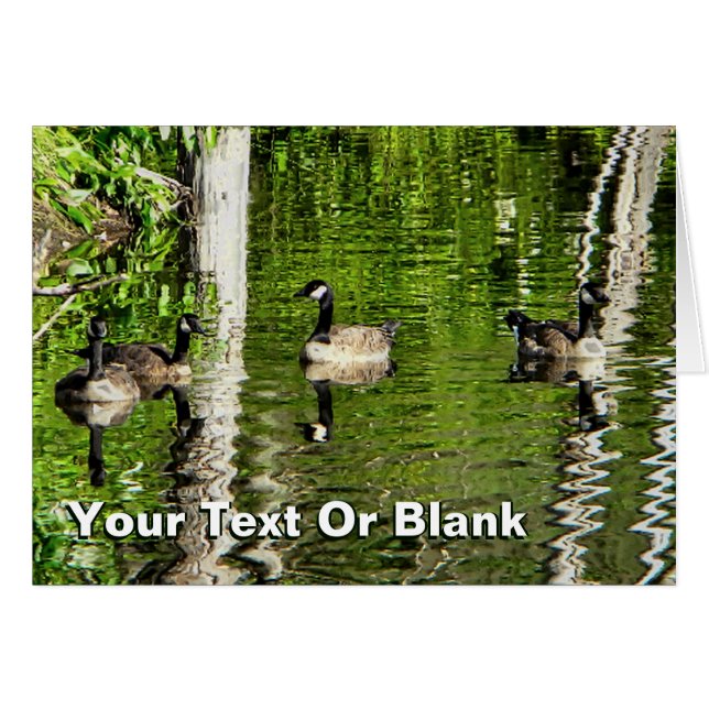 (Canada) Goose Green (Voorkant Horizontaal)