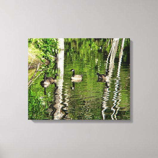 (Canada) Goose Green Canvas Afdruk (Voorkant)