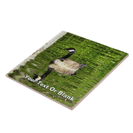 (Canada) Goose Green Tegeltje (Zijkant)