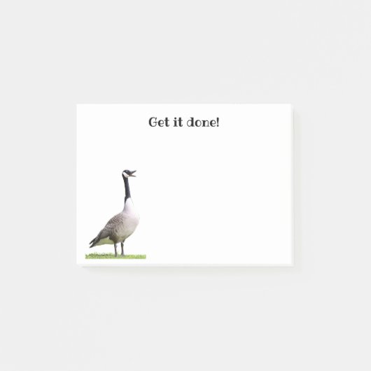 Canada Goose Honking Notes (Voorkant)