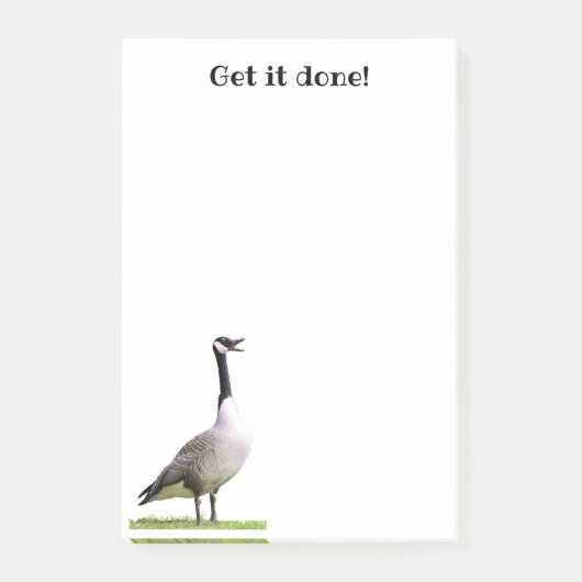 Canada Goose Honking Notes (Voorkant)