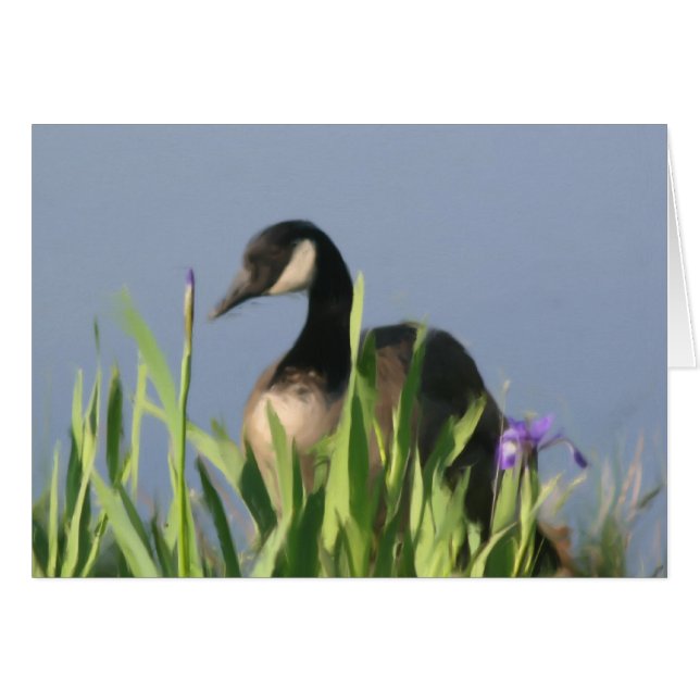 Canada Goose Irise Animal Art Card (Voorkant Horizontaal)