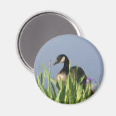 Canada Goose Irise Animal Art Magnet Magneet (Voorkant / Achterkant)