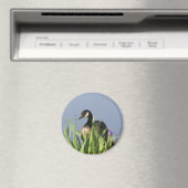 Canada Goose Irise Animal Art Magnet Magneet (Insitu (Vaatwasser))