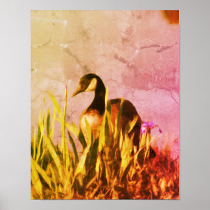 Canada Goose Irissen Distressed Natuur Art Poster