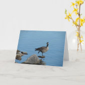 Canada Goose Kaart (Gele Bloem)