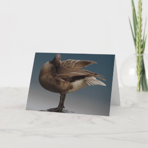 Canada Goose Kaarten Canada Gese Wenskaarten