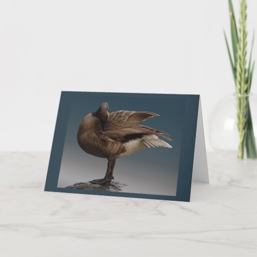 Canada Goose Kaarten Canada Gese Wenskaarten (Voorkant)