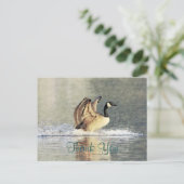 Canada Goose Landing Briefkaart (Staand voorkant)