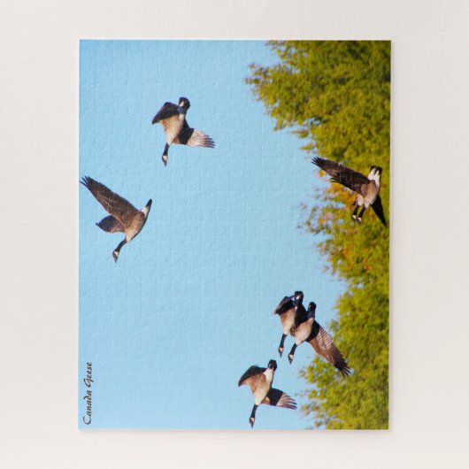 Canada Goose Legpuzzel (Verticaal)