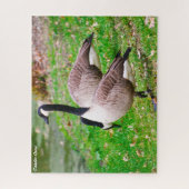 Canada Goose Legpuzzel (Verticaal)