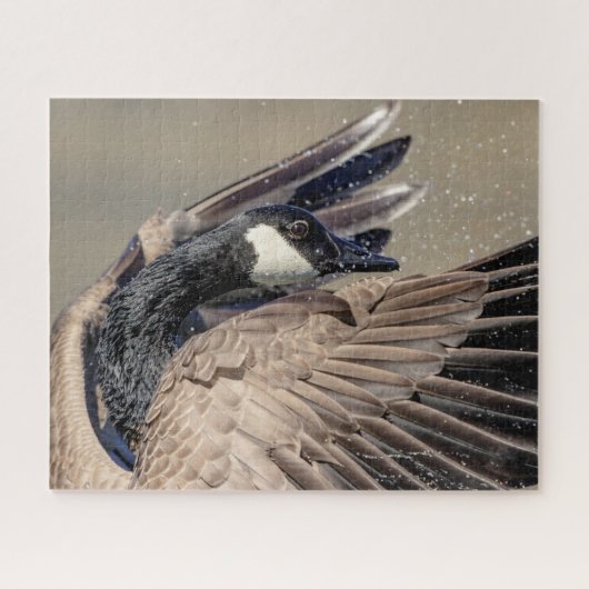 Canada Goose Legpuzzel (Horizontaal)