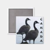 Canada Goose Magnet Canada Souvenir Fridge Magnets Magneet (Voorkant / Achterkant)