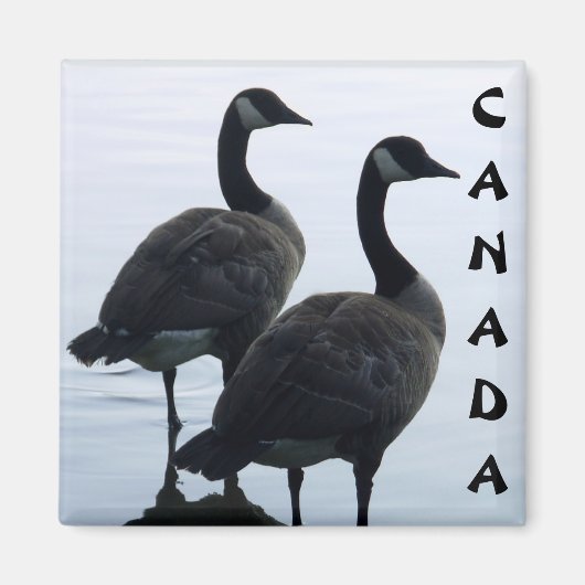 Canada Goose Magnet Canada Souvenir Fridge Magnets Magneet (Voorkant)