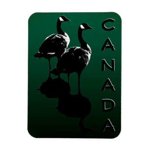 Canada Goose Magnet Canada Souvenir Fridge Magnets Magneet