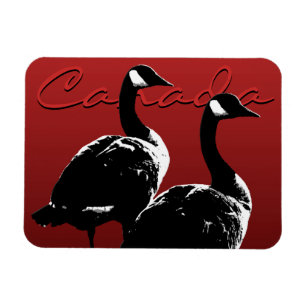 Canada Goose Magnet Canada Souvenir Fridge Magnets Magneet