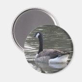 Canada Goose Magnet Magneet (Voorkant / Achterkant)