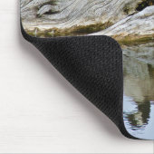 Canada Goose Muismat (Hoek)