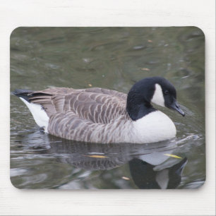 Canada Goose Muismat