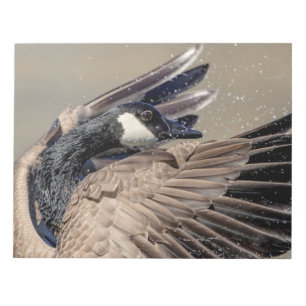 Canada Goose Notitieblok