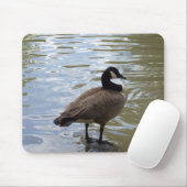Canada Goose On Rock Muismat (Met muis)
