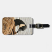 Canada Goose op het meer Bagagelabel (Voorkant horizontaal)