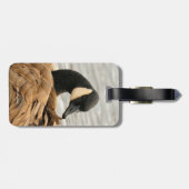 Canada Goose op het meer Bagagelabel (Achterkant horizontaal)