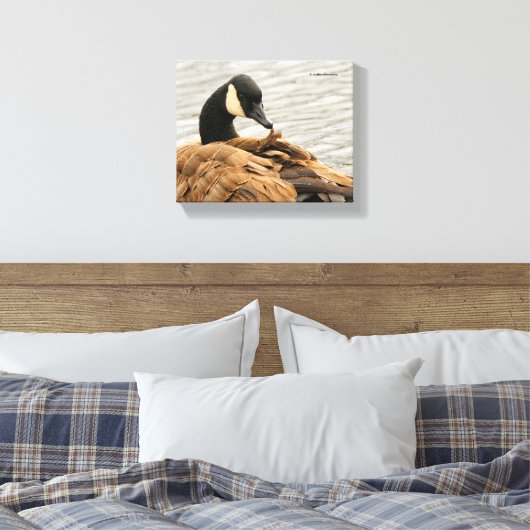 Canada Goose op het meer Canvas Afdruk (Insitu (Slaapkamer))