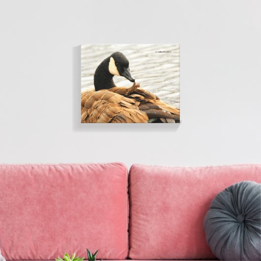 Canada Goose op het meer Canvas Afdruk (Insitu (Woonkamer))