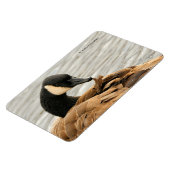 Canada Goose op het meer Magneet (Linkerzijde)