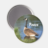 Canada Goose Peace Inspirerend Magnet Magneet (Voorkant / Achterkant)