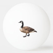 Canada Goose Pingpongballen (Achterkant)