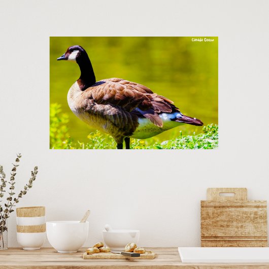 Canada Goose Poster (Keuken)