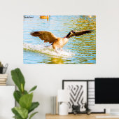 Canada Goose Poster (Thuiskantoor)
