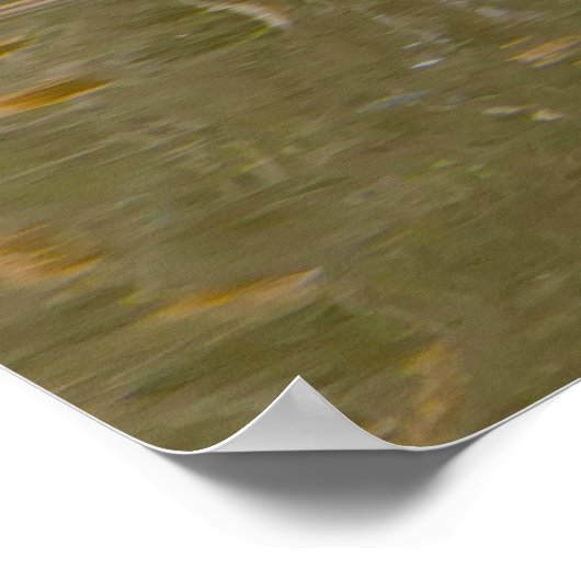 Canada Goose Poster (Hoek)